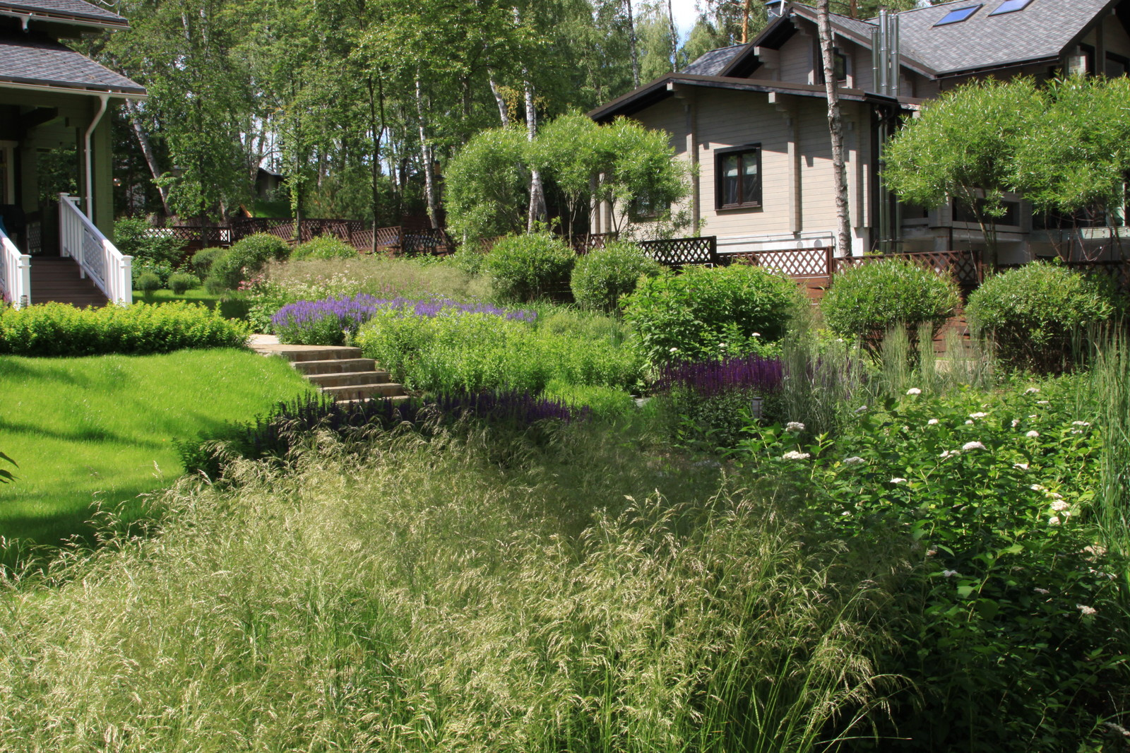 Проект "Волны". Нижний сад