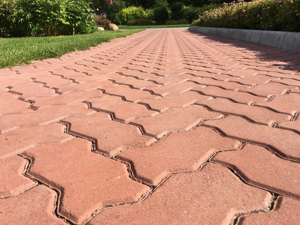 Елена Геннадьевна Новоселова