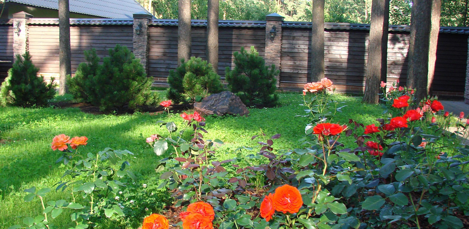 Обложка проекта: Портфолио