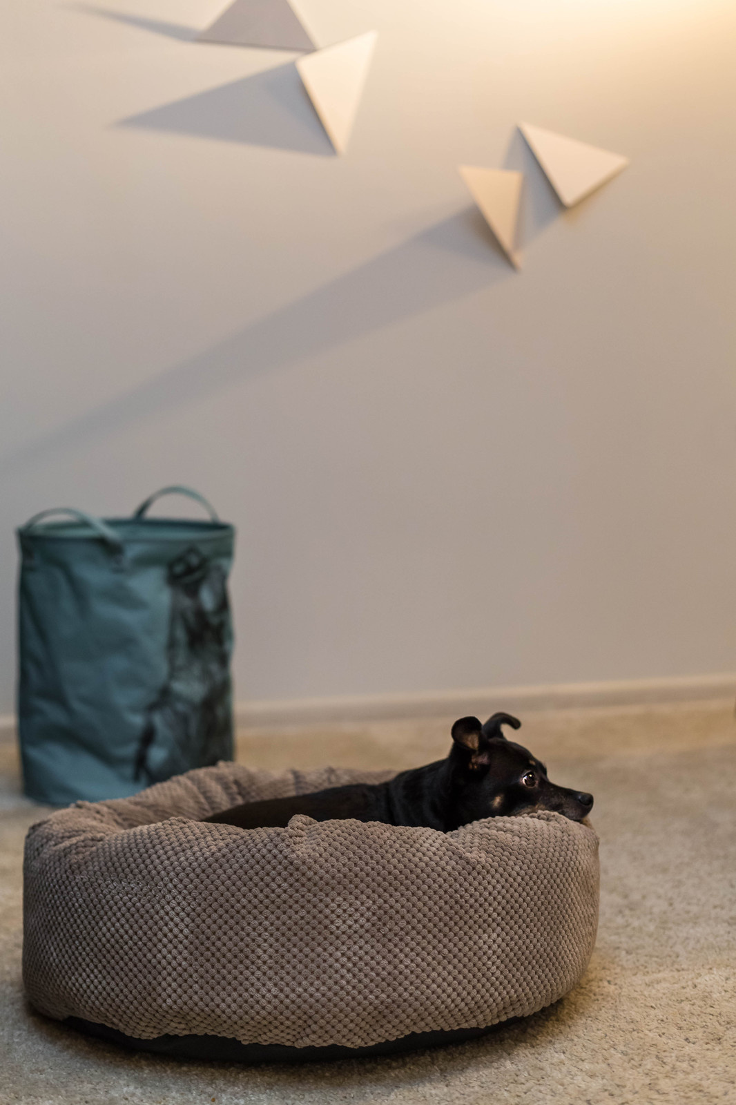 В гостях: Яркая квартира для двоих, не считая собаки