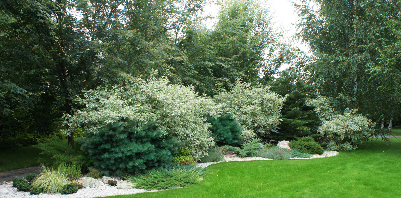 Ландшафт в Пестово