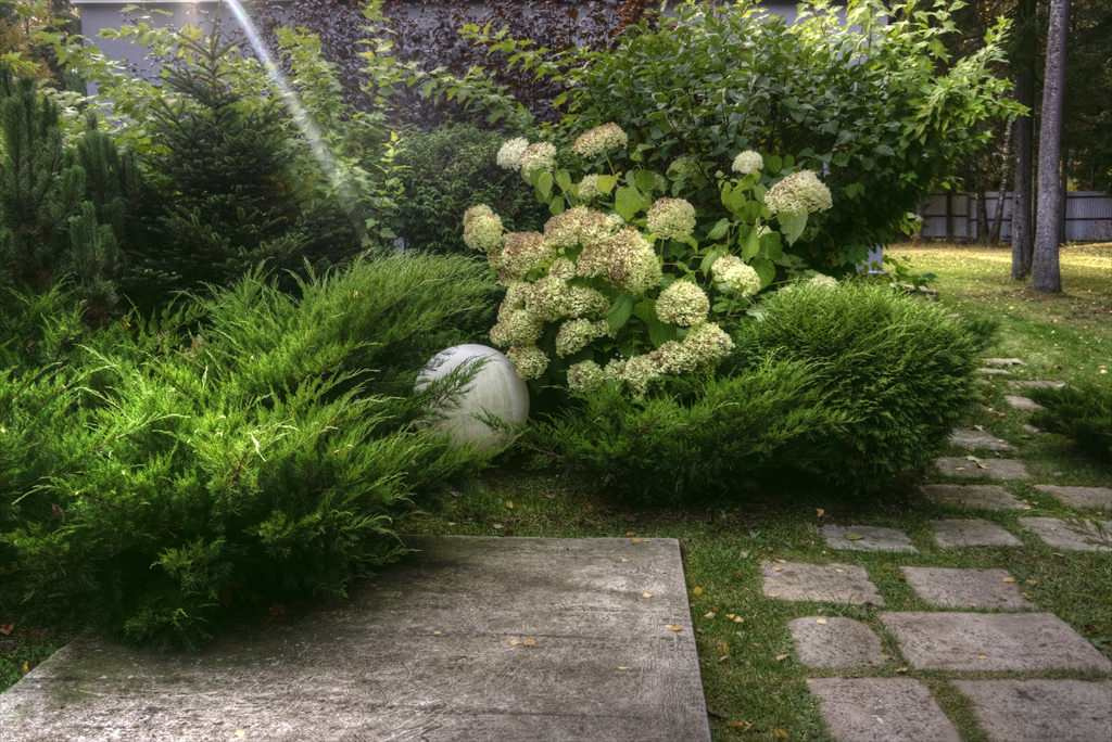 гравитация
