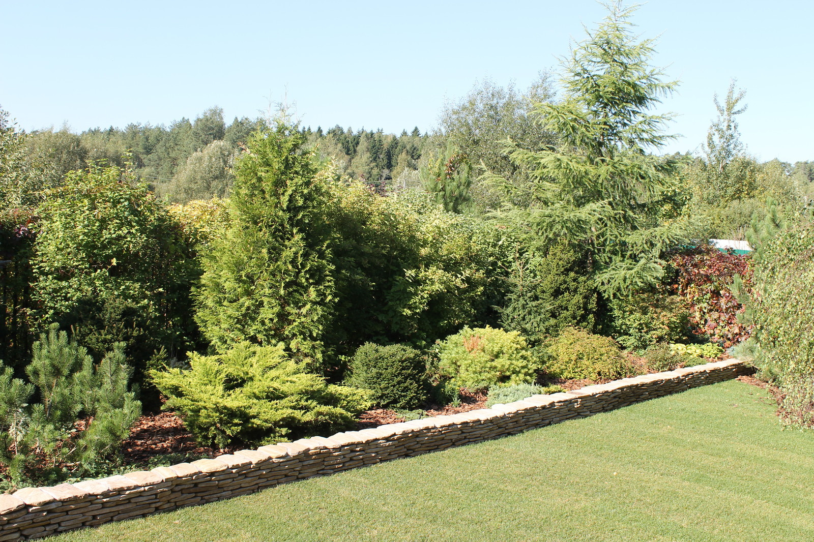 Виолетта Штольн