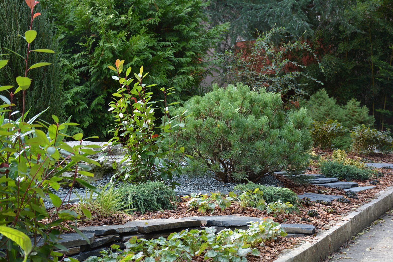 Адлер "Южное Взморье"