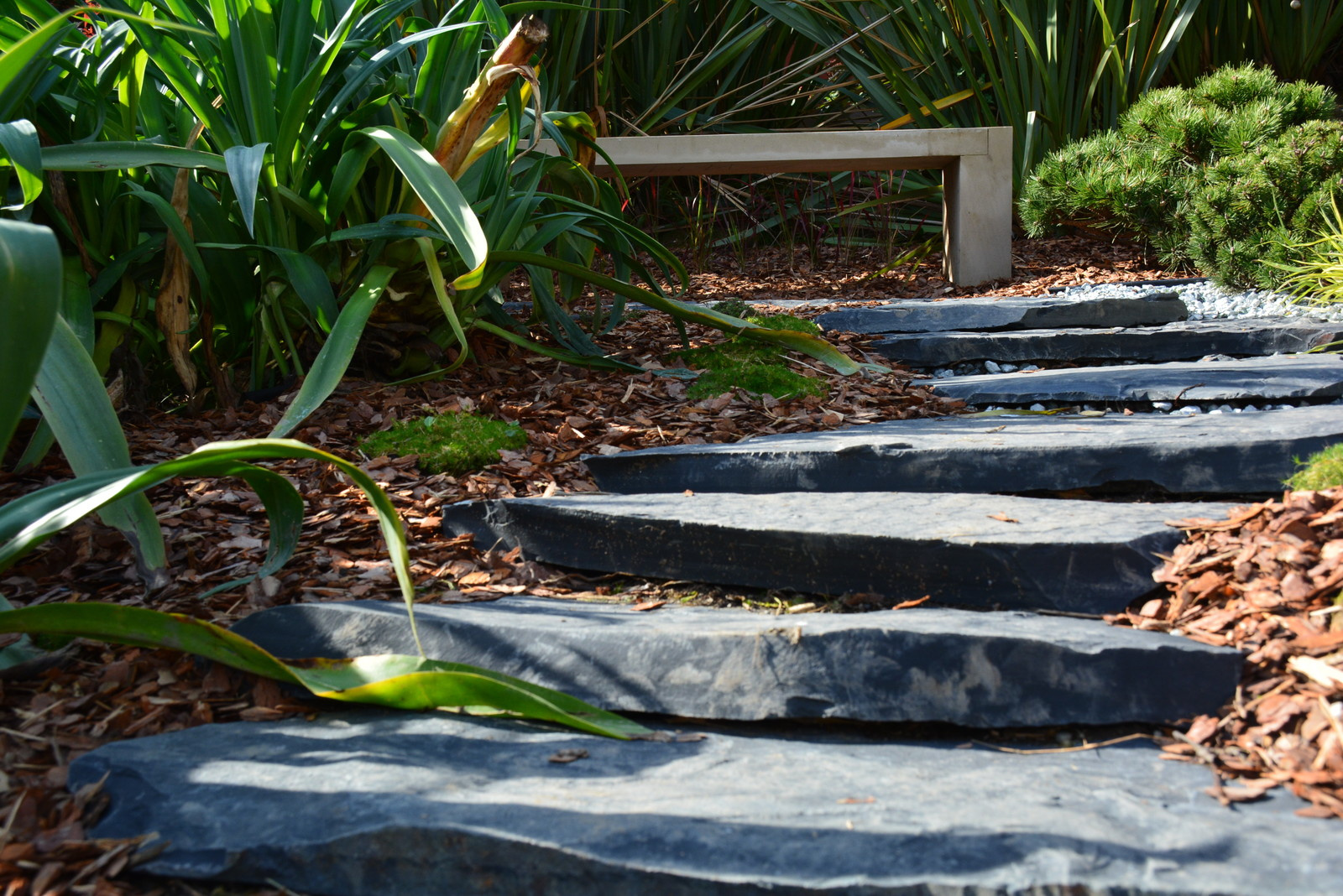 Адлер "Южное Взморье"