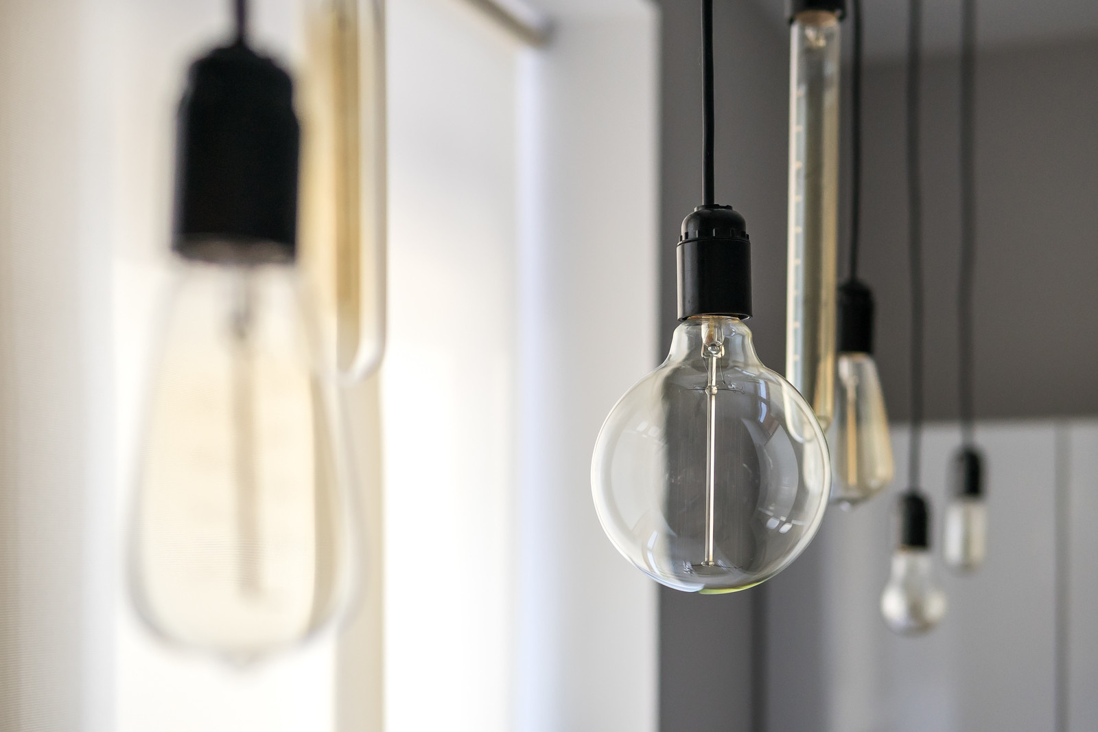 В гостях: Квартира для кота Лиса и молодой семьи