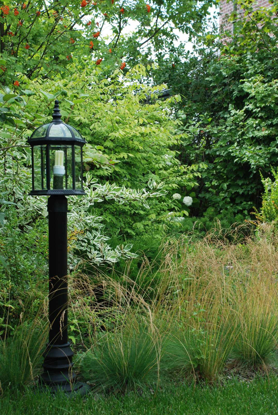 Современный сад в КП "Променад"