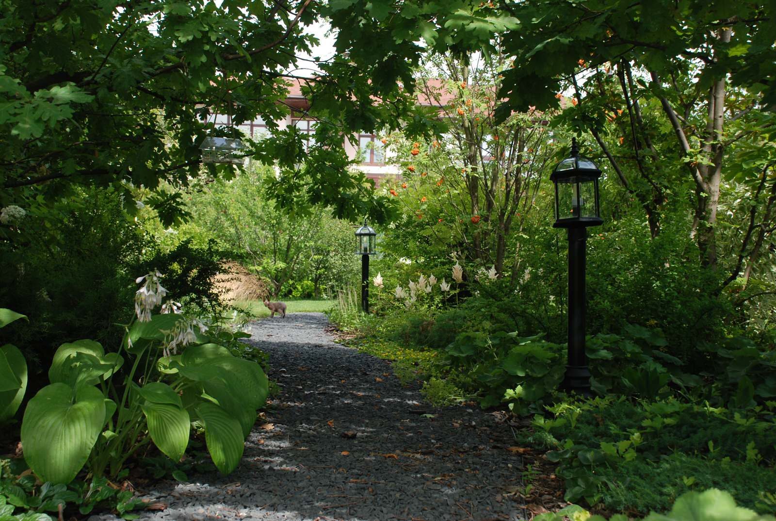 Современный сад в КП "Променад"