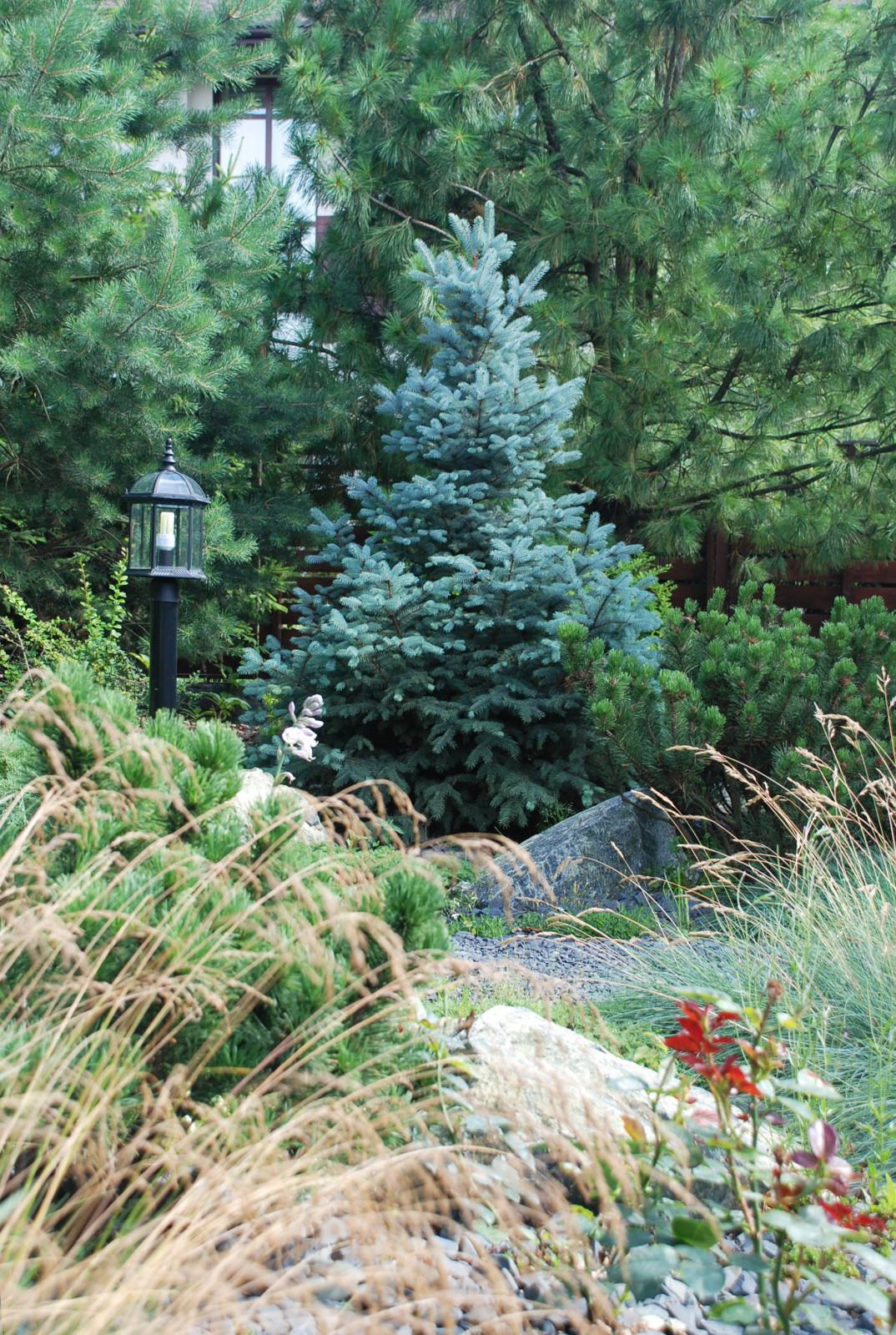 Современный сад в КП "Променад"