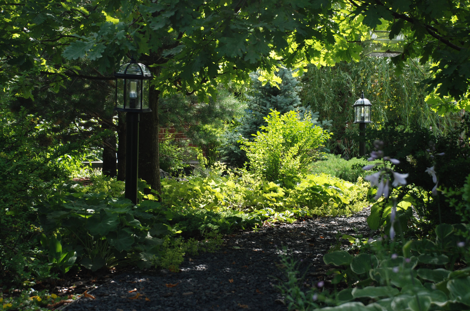 Современный сад в КП "Променад"