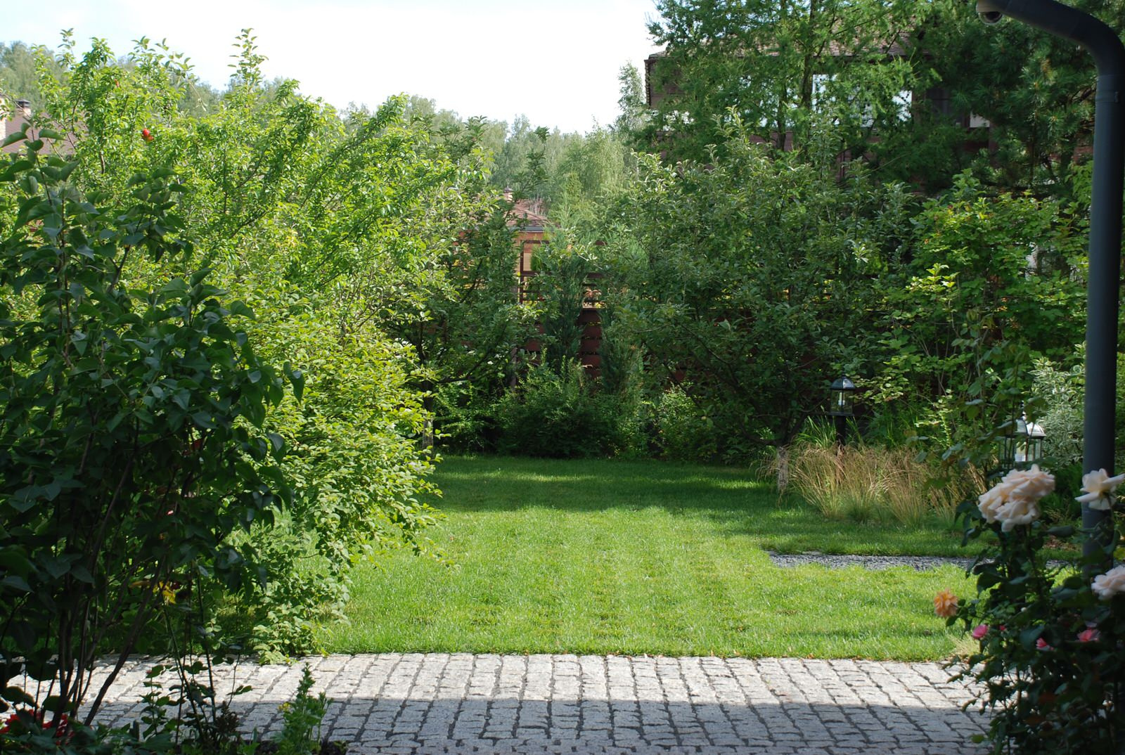 Современный сад в КП "Променад"