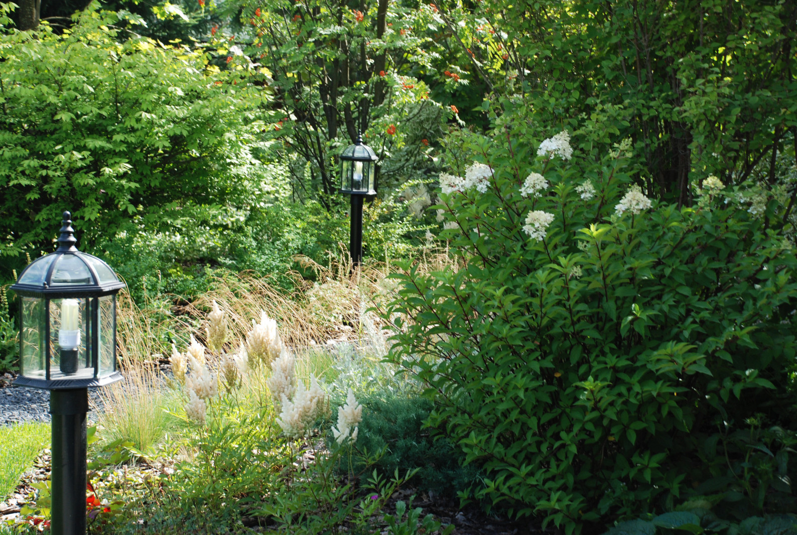 Современный сад в КП "Променад"