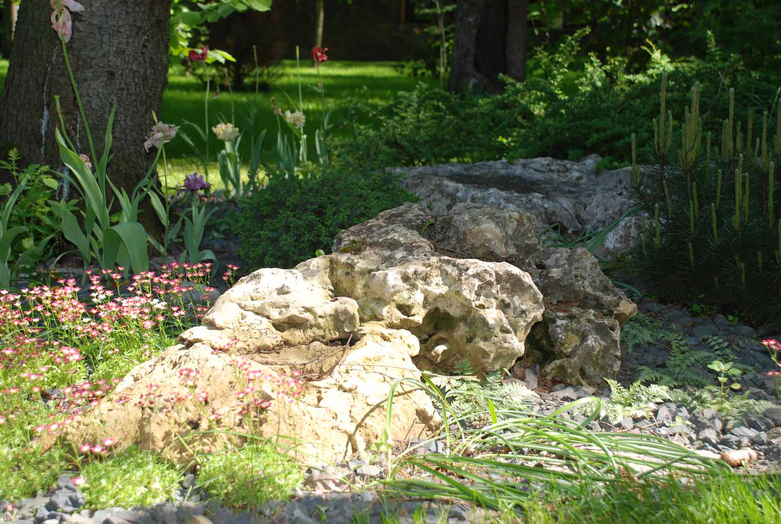 Лесной участок в КП "РИИТА"