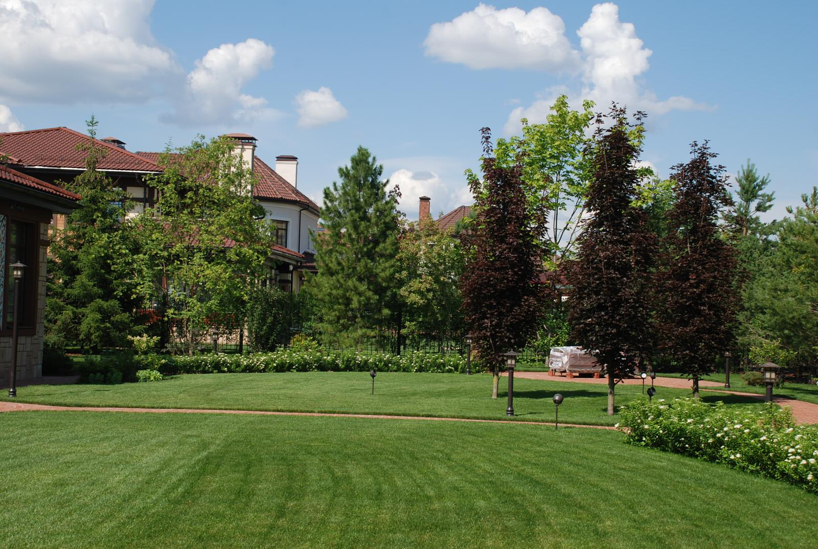 Сад в КП "Миллениум Парк"