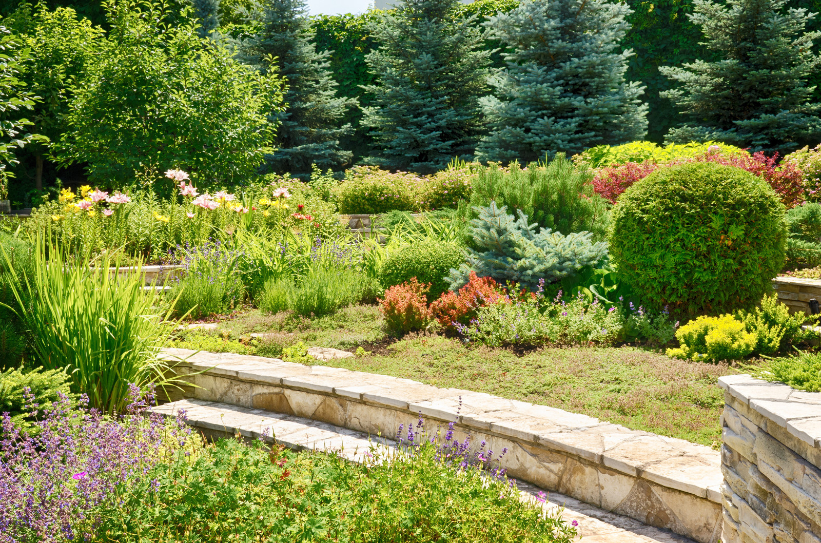 Средиземноморский