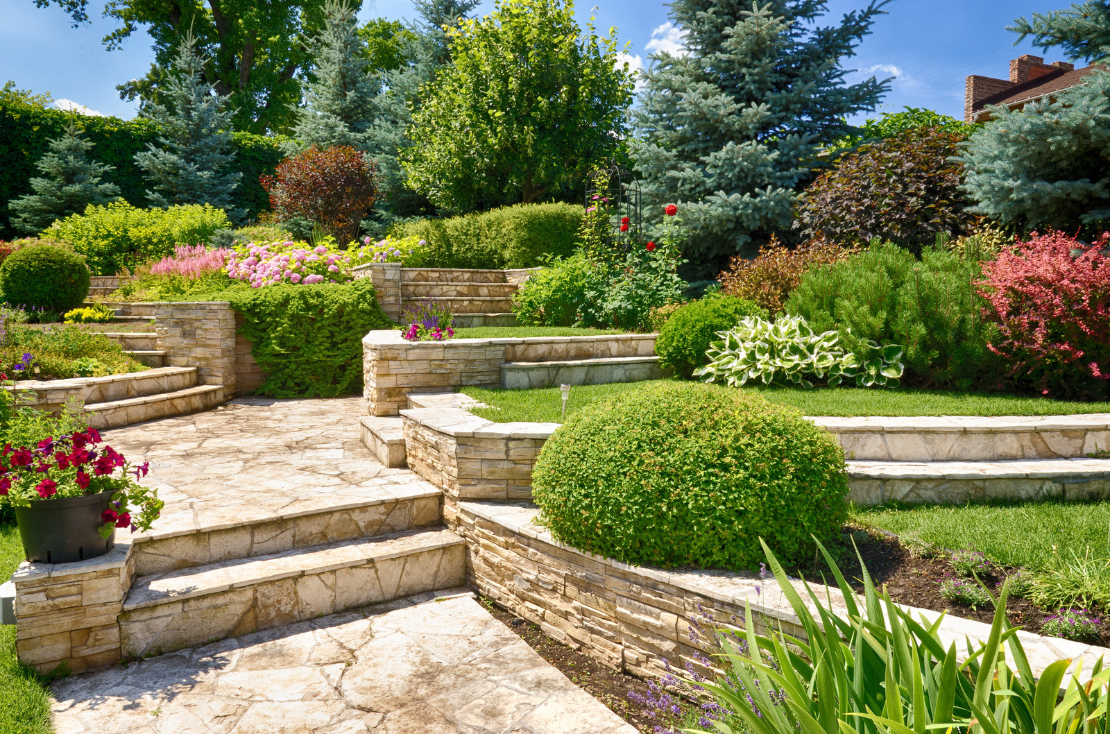 Средиземноморский