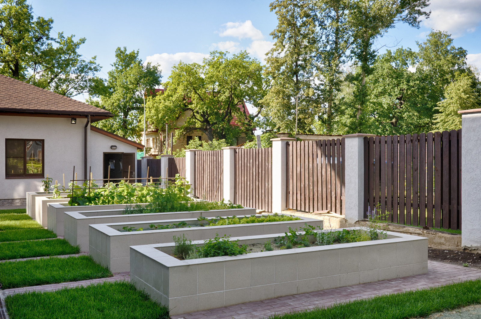 Прогулка в дубах