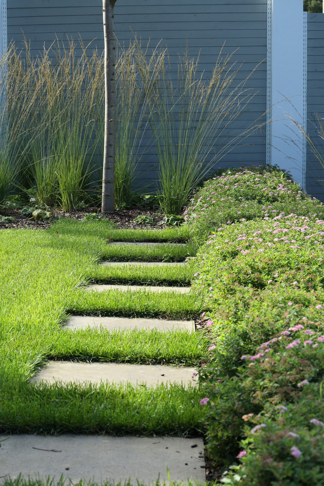 Обложка альбома: Царевщина