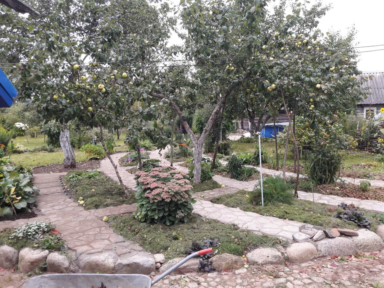 Осьмино