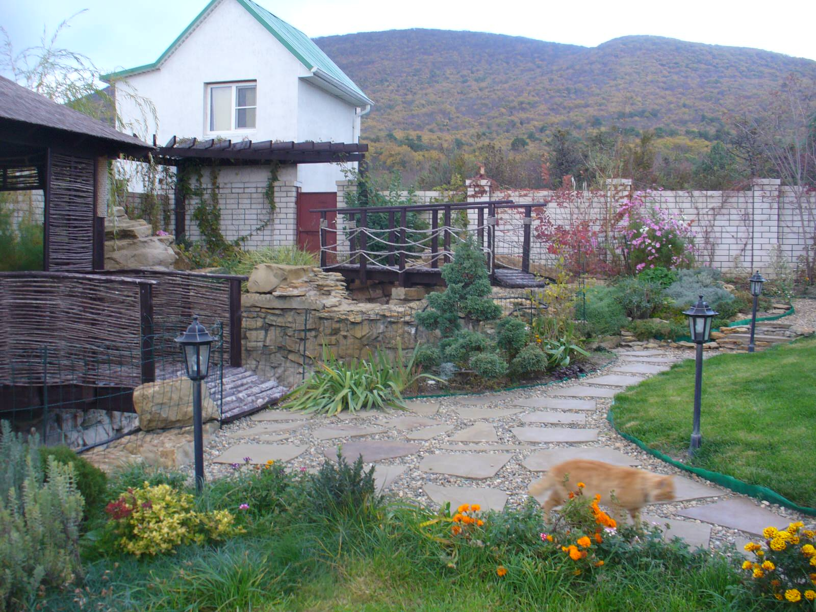 Фотографии готовых садов