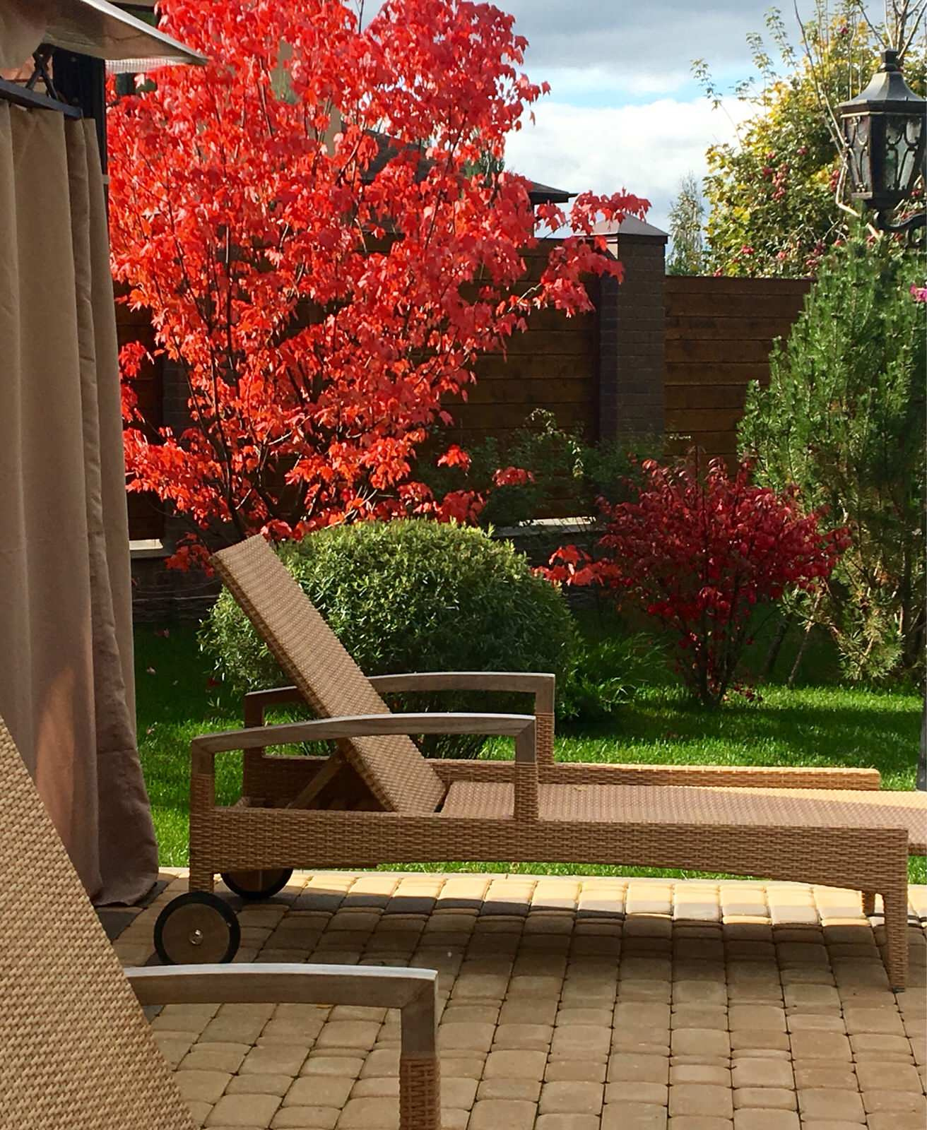 Фоновое изображение профиля Marina Malikova