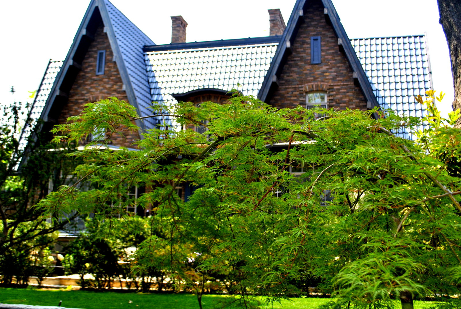 Сад с японскими интонациями.