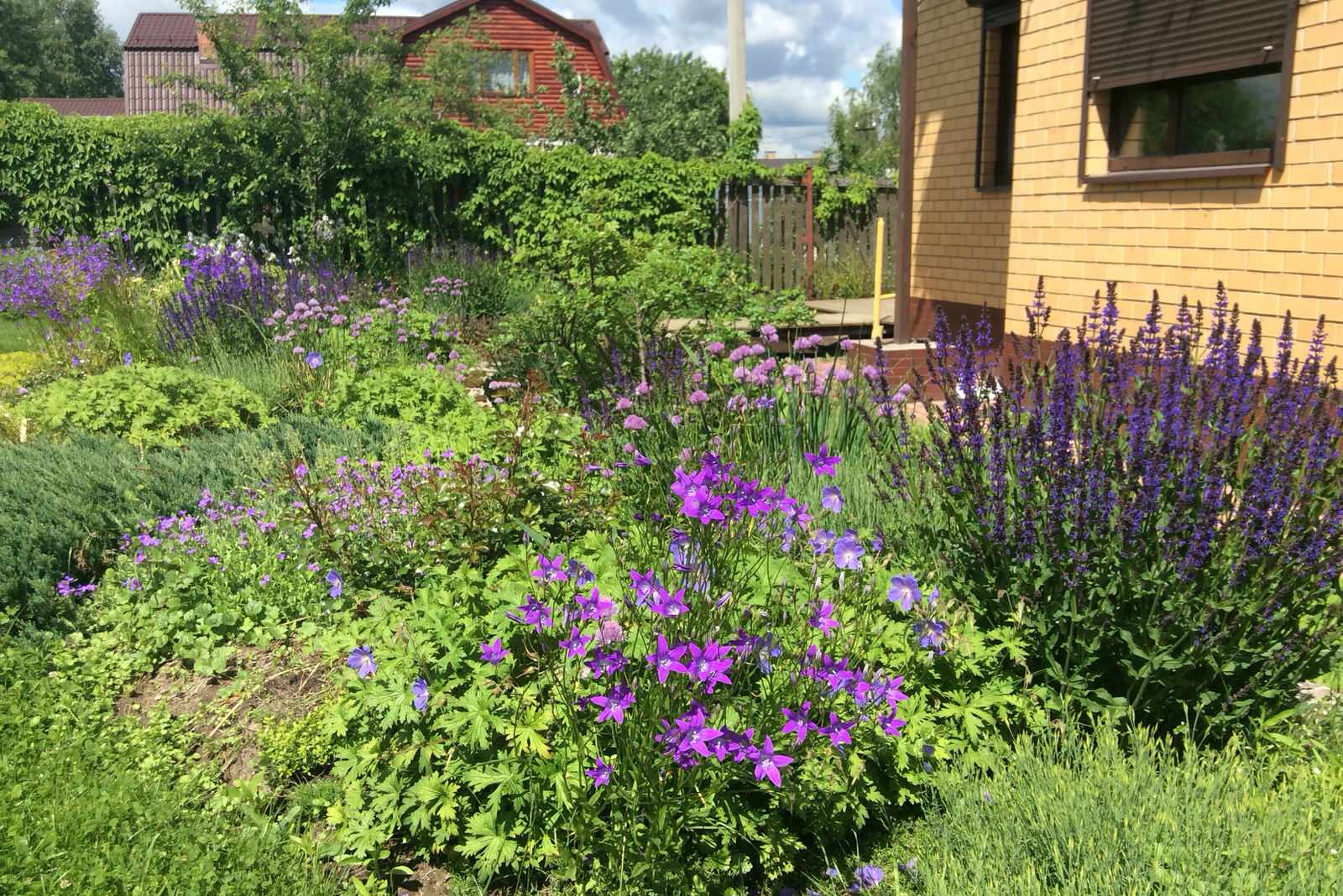 ТЕПЛЫШКО МОЕ РАСПУШЕННОЕ.