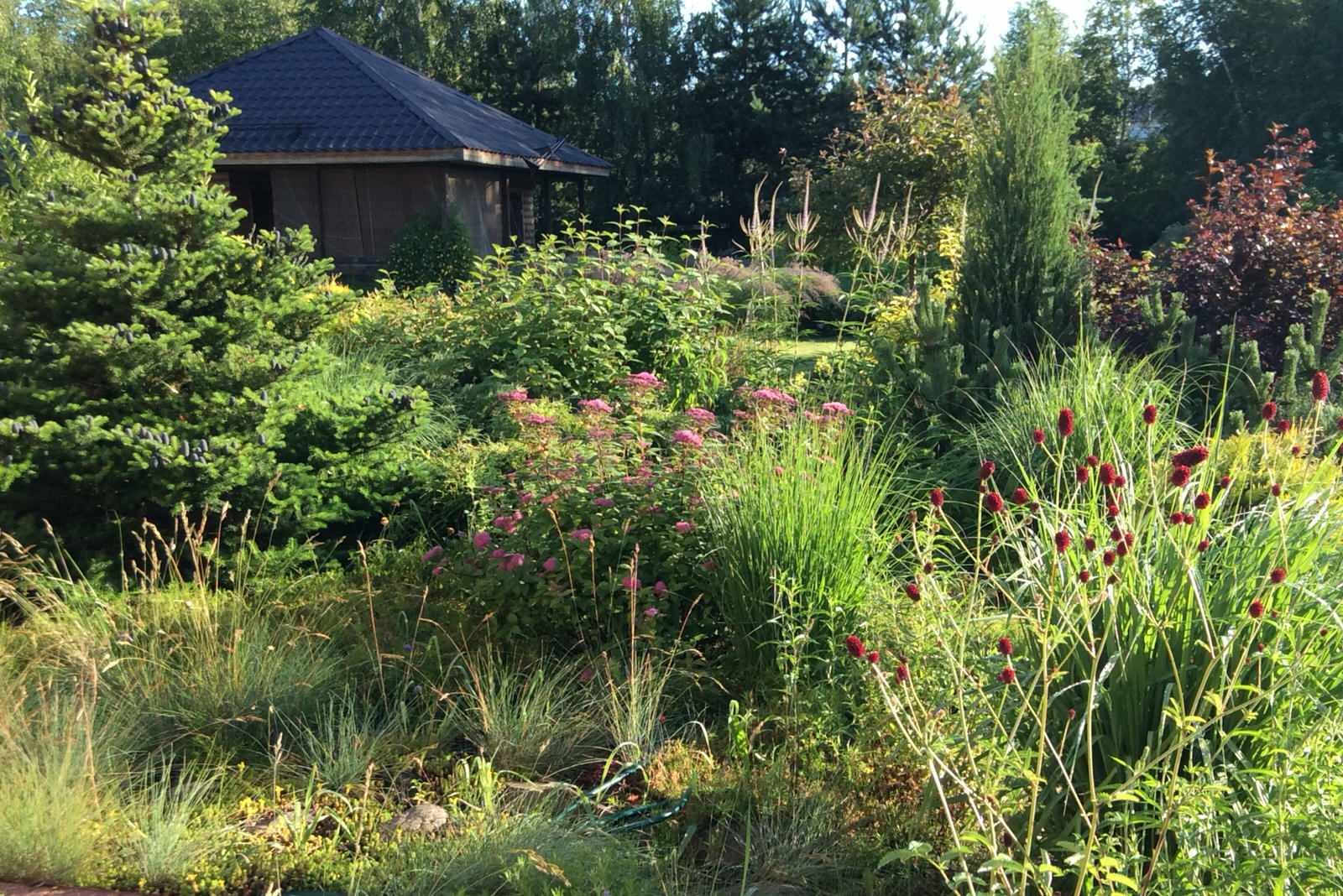 ТЕПЛЫШКО МОЕ РАСПУШЕННОЕ.