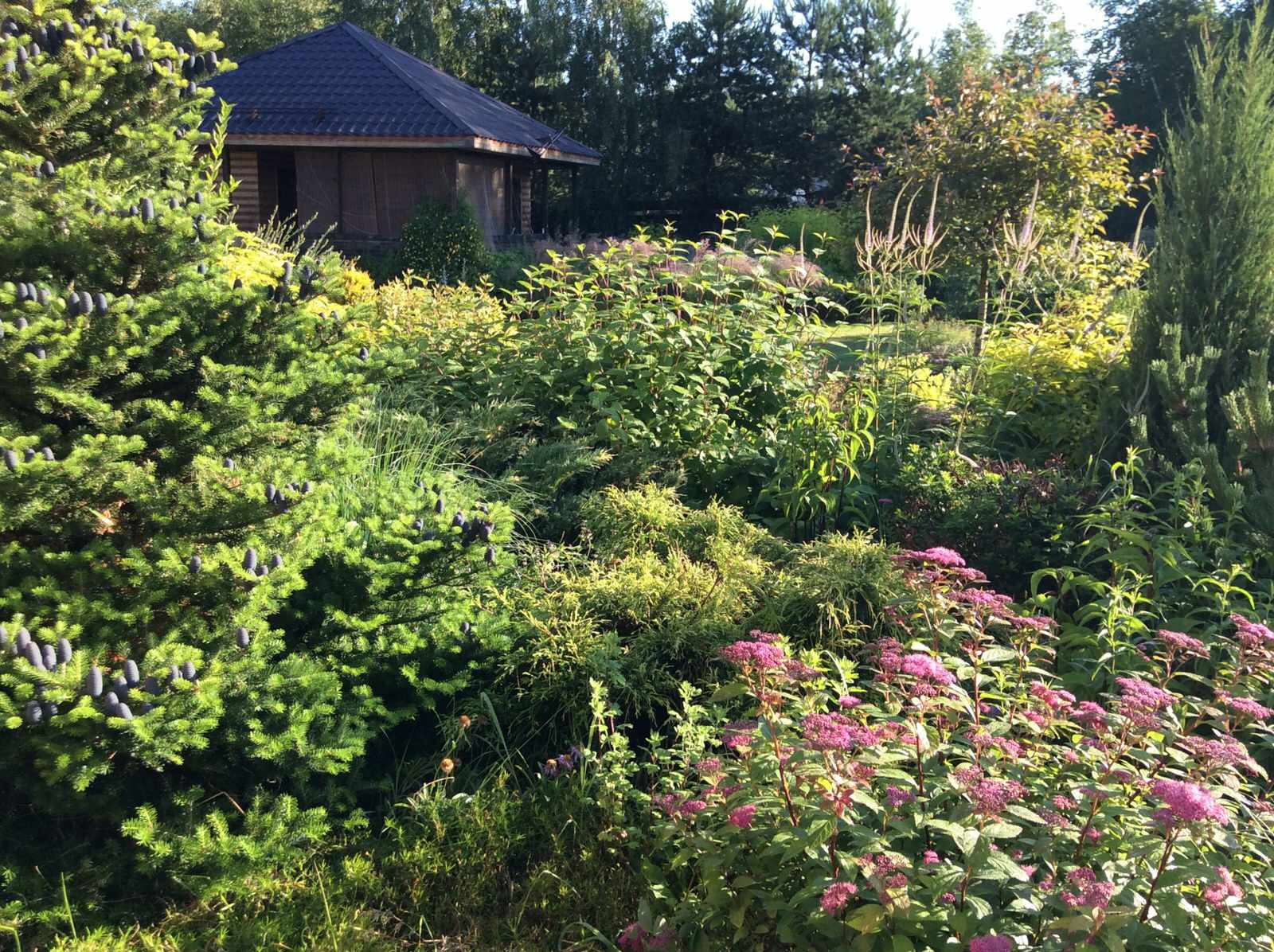 ТЕПЛЫШКО МОЕ РАСПУШЕННОЕ.