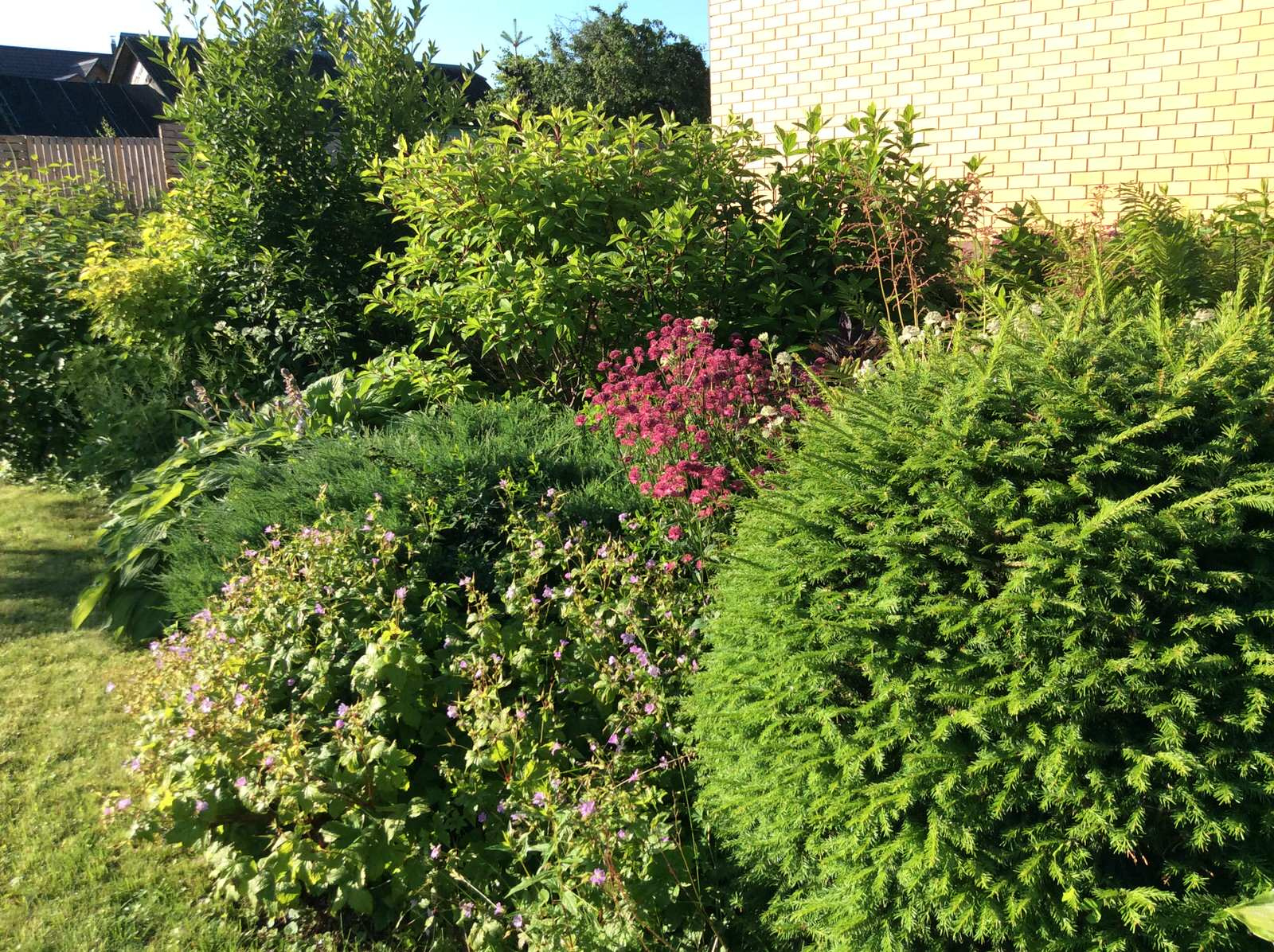 ТЕПЛЫШКО МОЕ РАСПУШЕННОЕ.