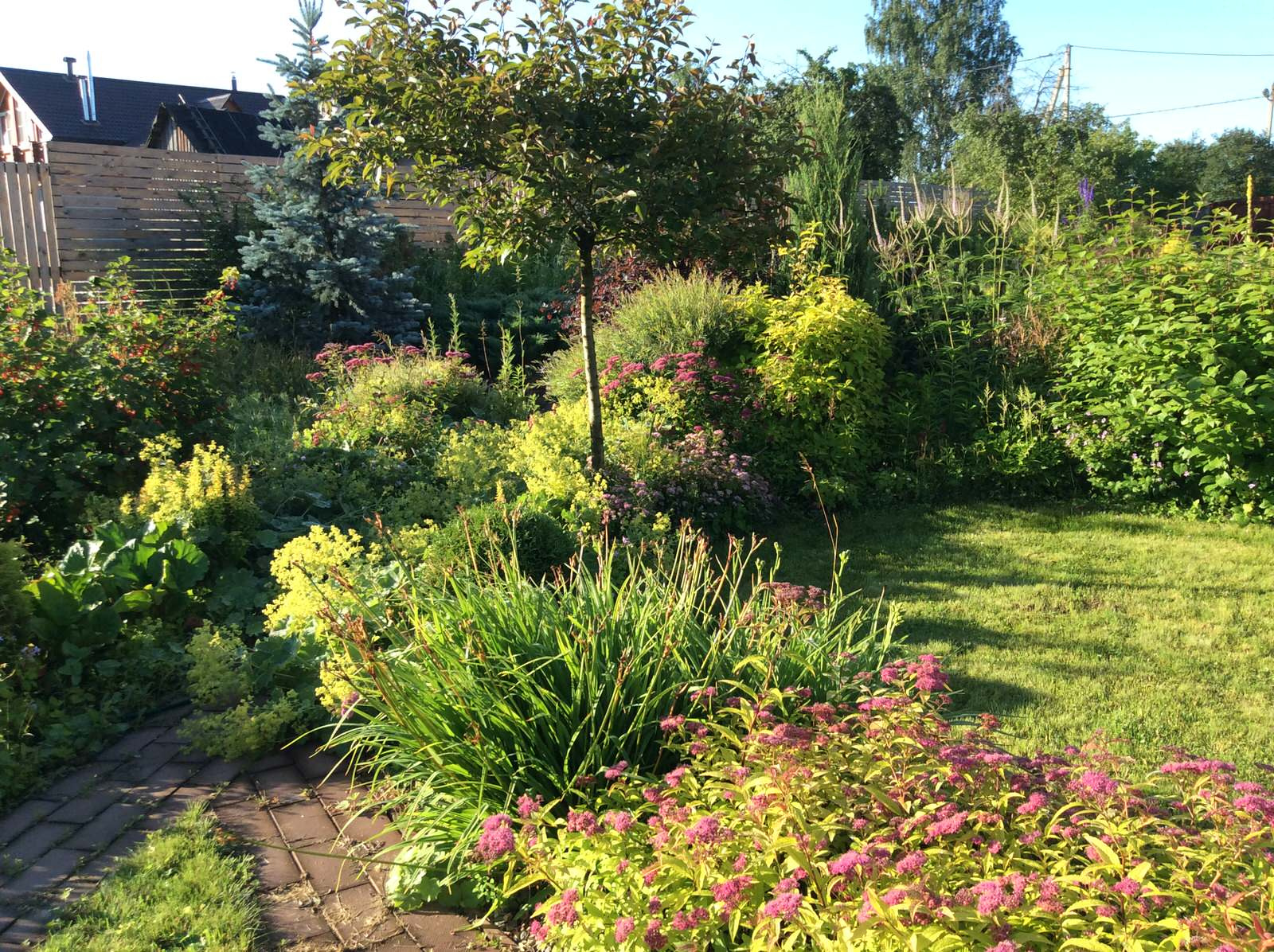 ТЕПЛЫШКО МОЕ РАСПУШЕННОЕ.