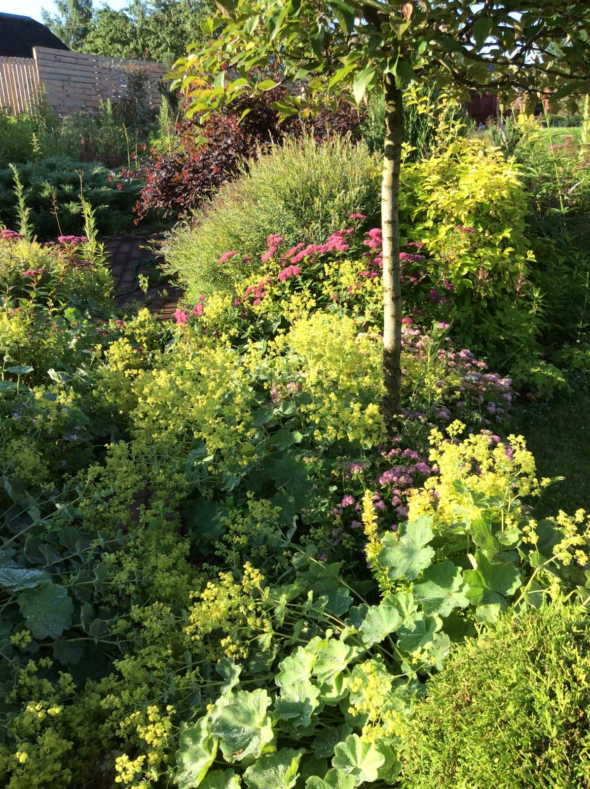 ТЕПЛЫШКО МОЕ РАСПУШЕННОЕ.