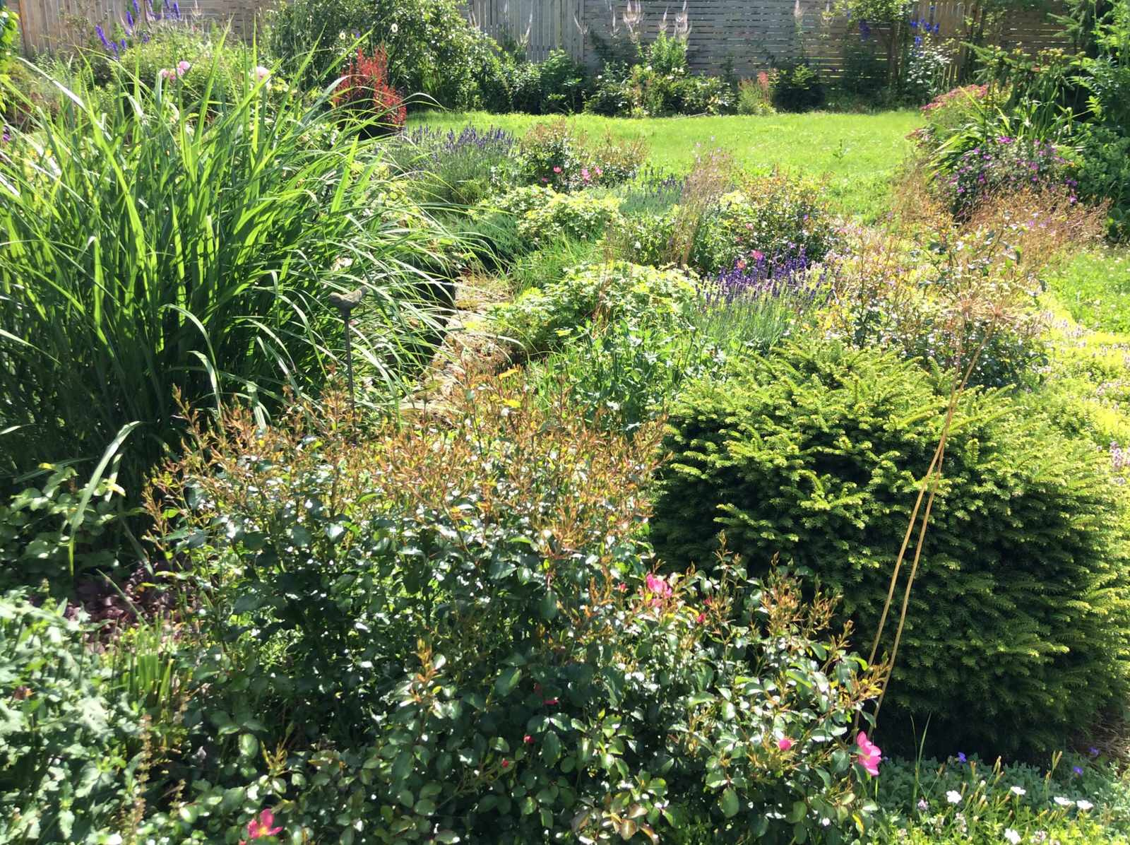 ТЕПЛЫШКО МОЕ РАСПУШЕННОЕ.