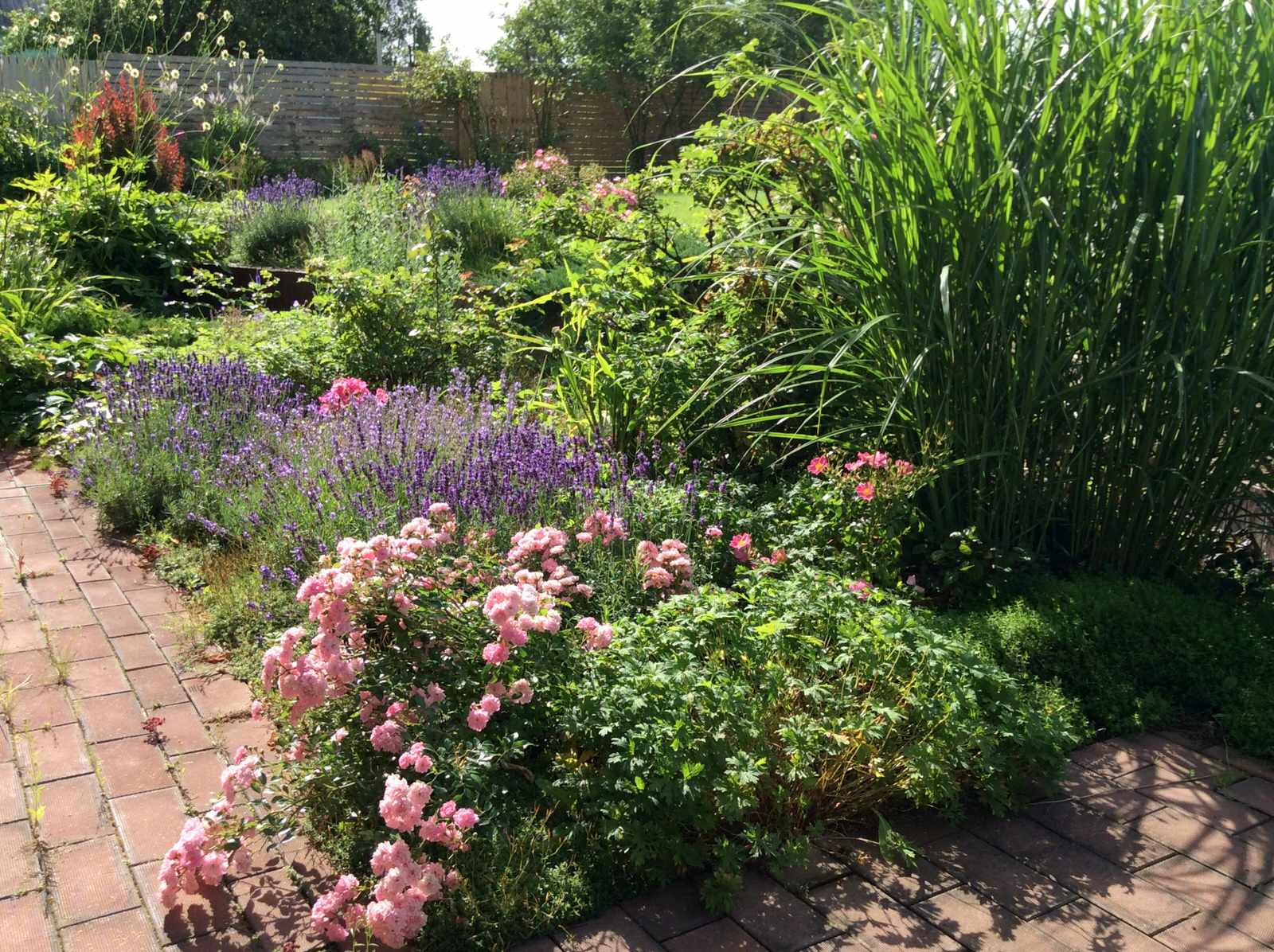 ТЕПЛЫШКО МОЕ РАСПУШЕННОЕ.