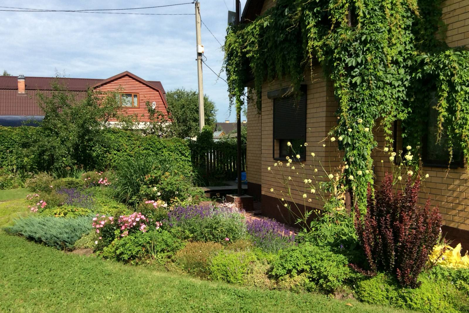 ТЕПЛЫШКО МОЕ РАСПУШЕННОЕ.