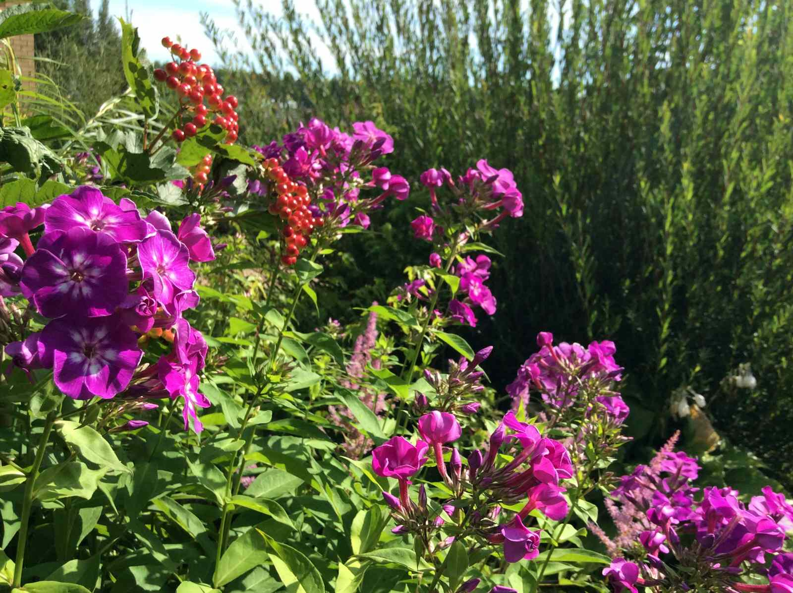 ТЕПЛЫШКО МОЕ РАСПУШЕННОЕ.