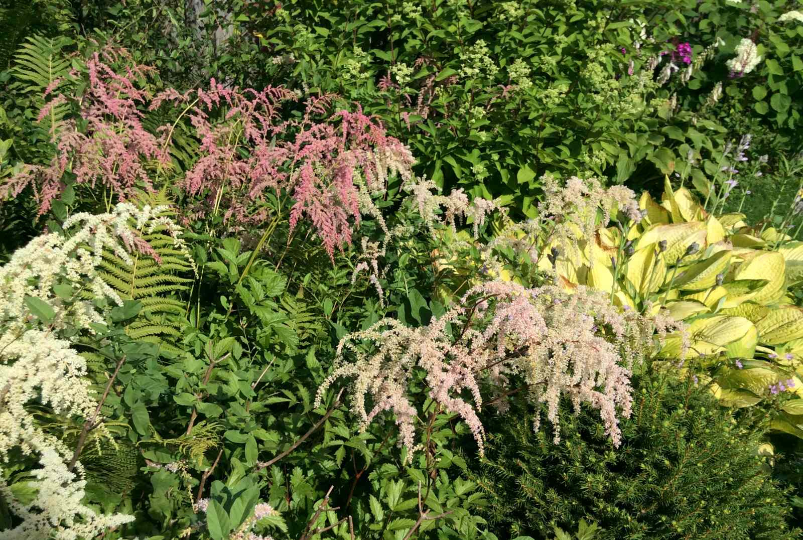 ТЕПЛЫШКО МОЕ РАСПУШЕННОЕ.