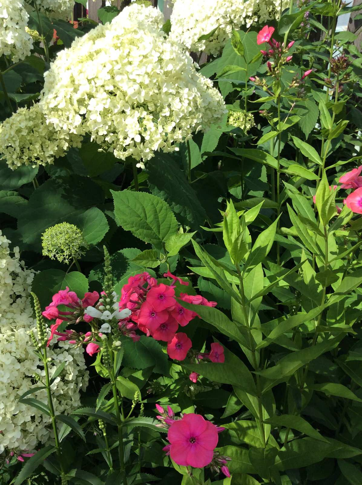 ТЕПЛЫШКО МОЕ РАСПУШЕННОЕ.