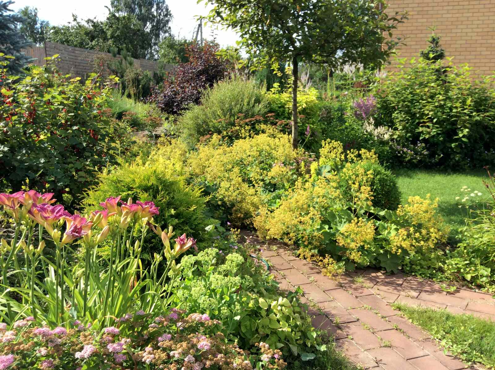 ТЕПЛЫШКО МОЕ РАСПУШЕННОЕ.