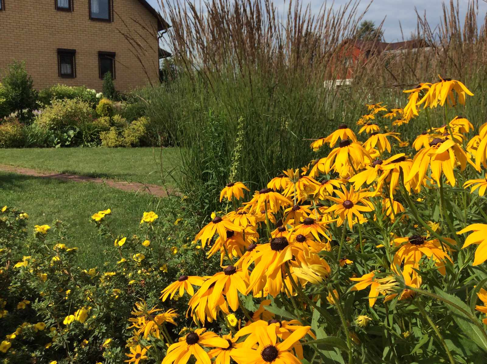 ТЕПЛЫШКО МОЕ РАСПУШЕННОЕ.