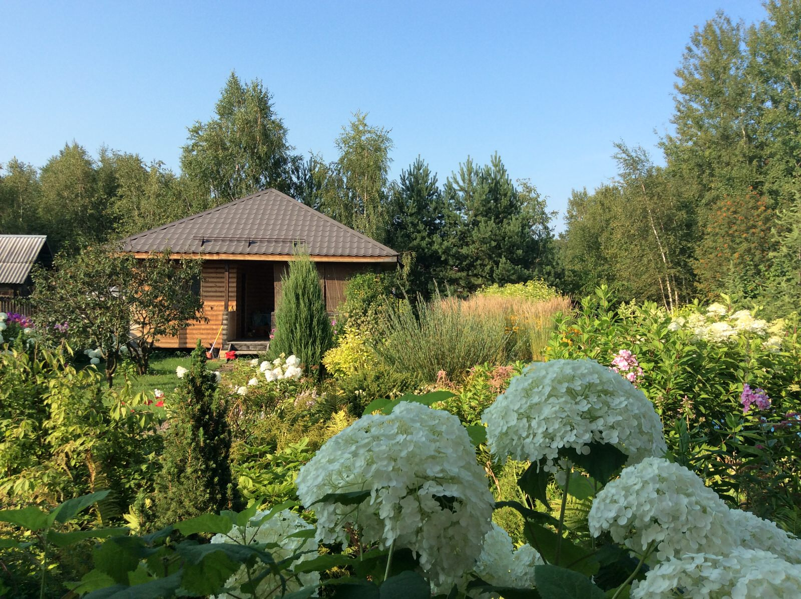 ТЕПЛЫШКО МОЕ РАСПУШЕННОЕ.