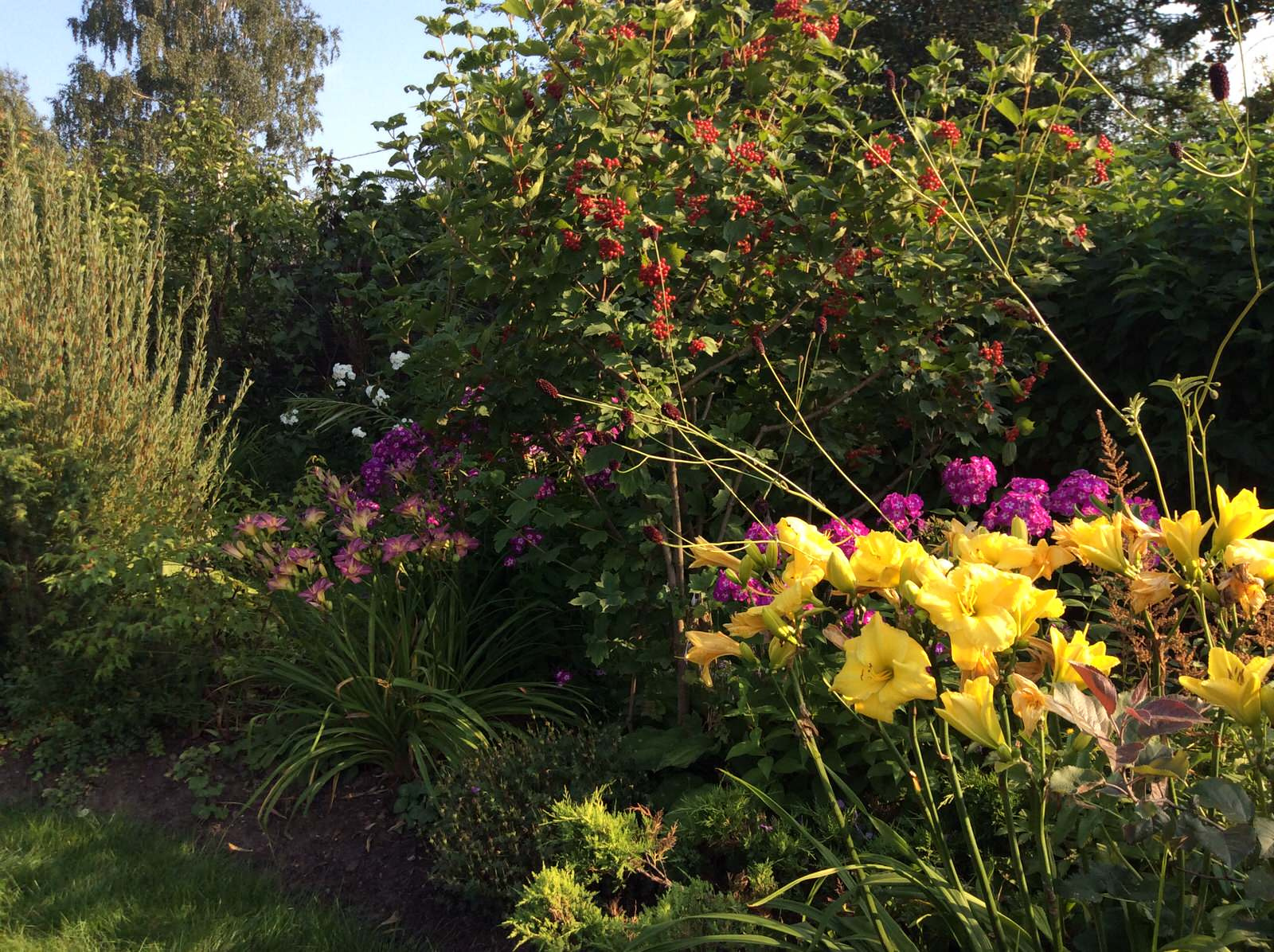 ТЕПЛЫШКО МОЕ РАСПУШЕННОЕ.