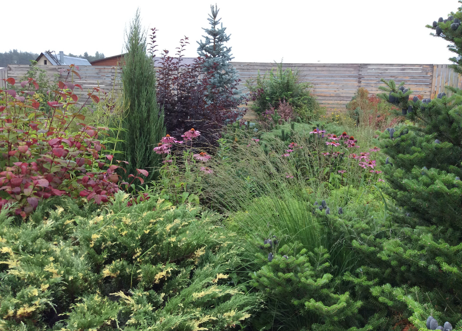 ТЕПЛЫШКО МОЕ РАСПУШЕННОЕ.