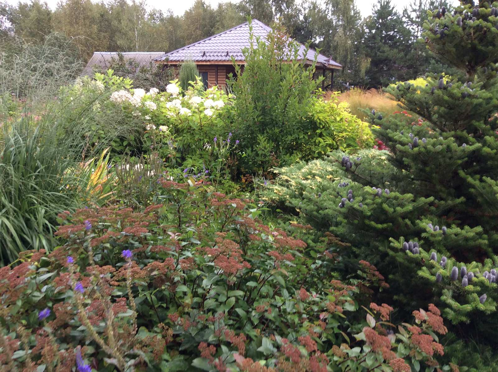 ТЕПЛЫШКО МОЕ РАСПУШЕННОЕ.