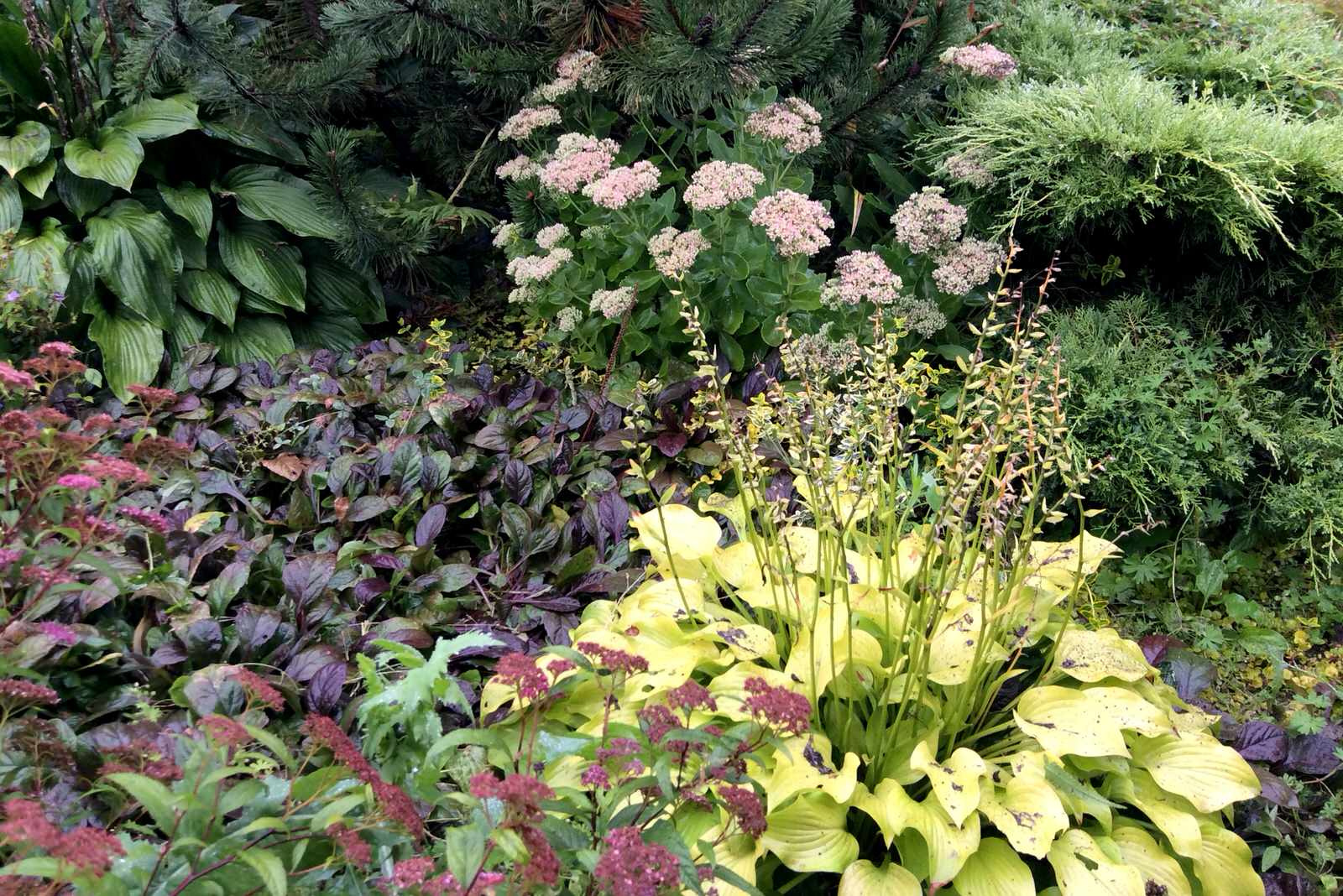 ТЕПЛЫШКО МОЕ РАСПУШЕННОЕ.