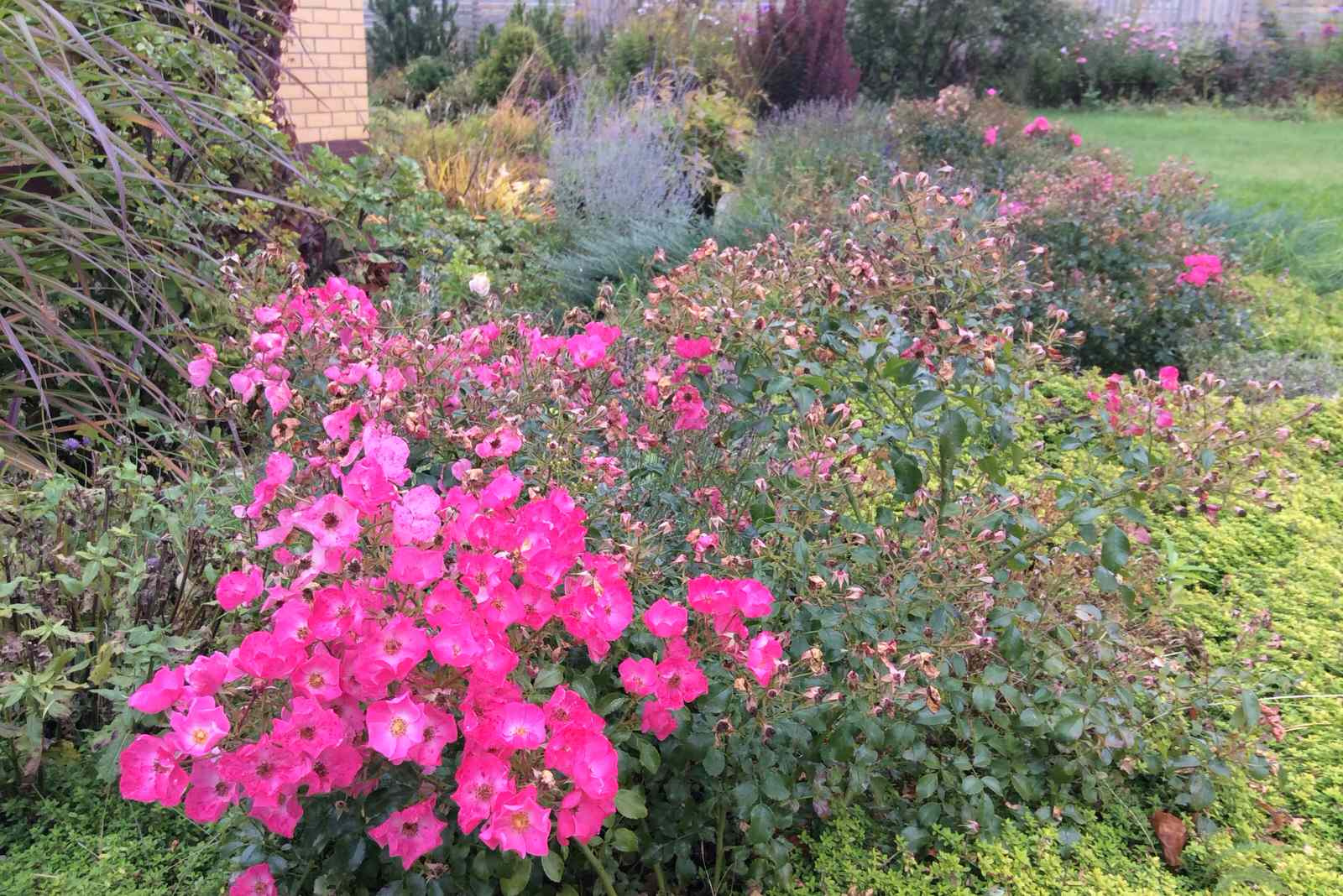 ТЕПЛЫШКО МОЕ РАСПУШЕННОЕ.