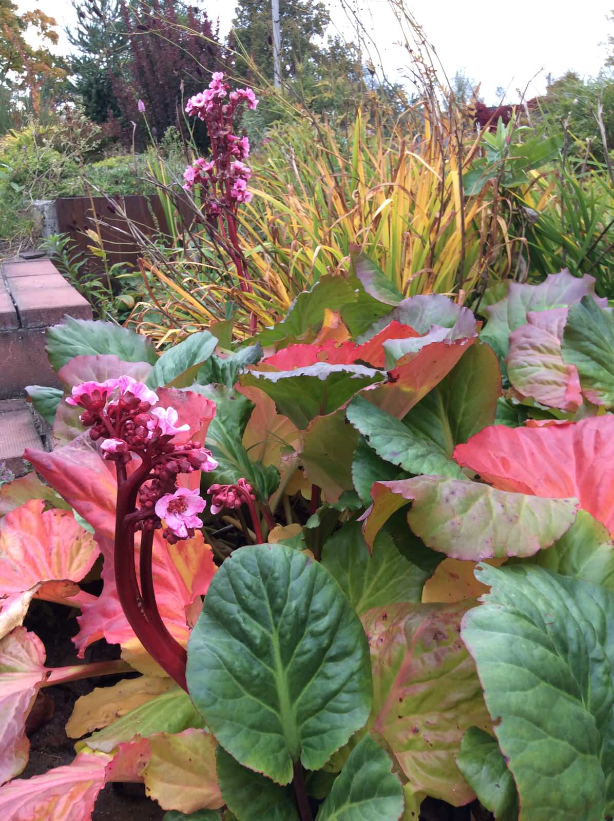 ТЕПЛЫШКО МОЕ РАСПУШЕННОЕ.