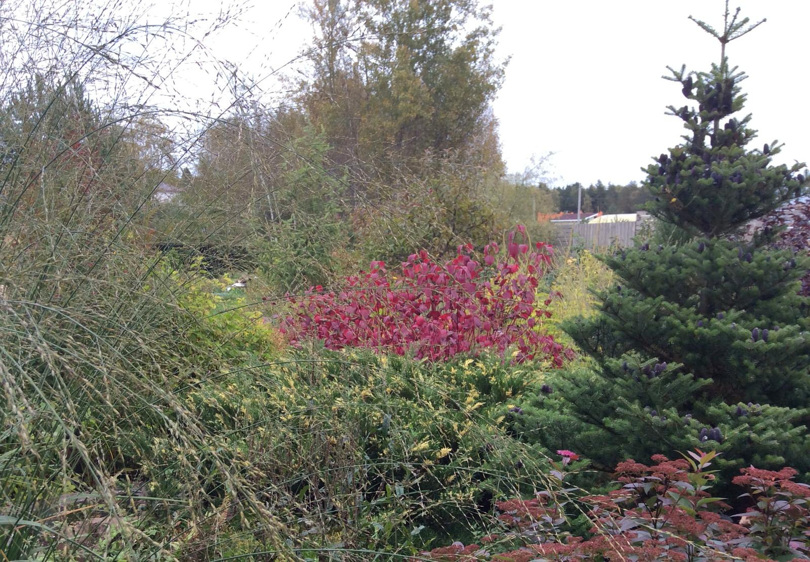 ТЕПЛЫШКО МОЕ РАСПУШЕННОЕ.