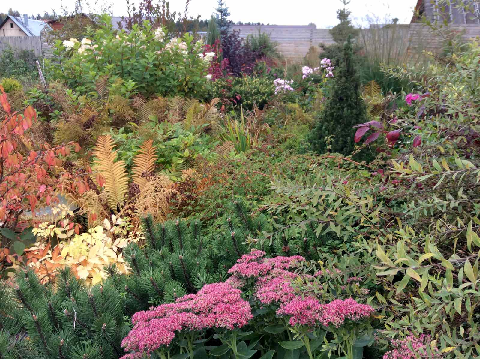 ТЕПЛЫШКО МОЕ РАСПУШЕННОЕ.