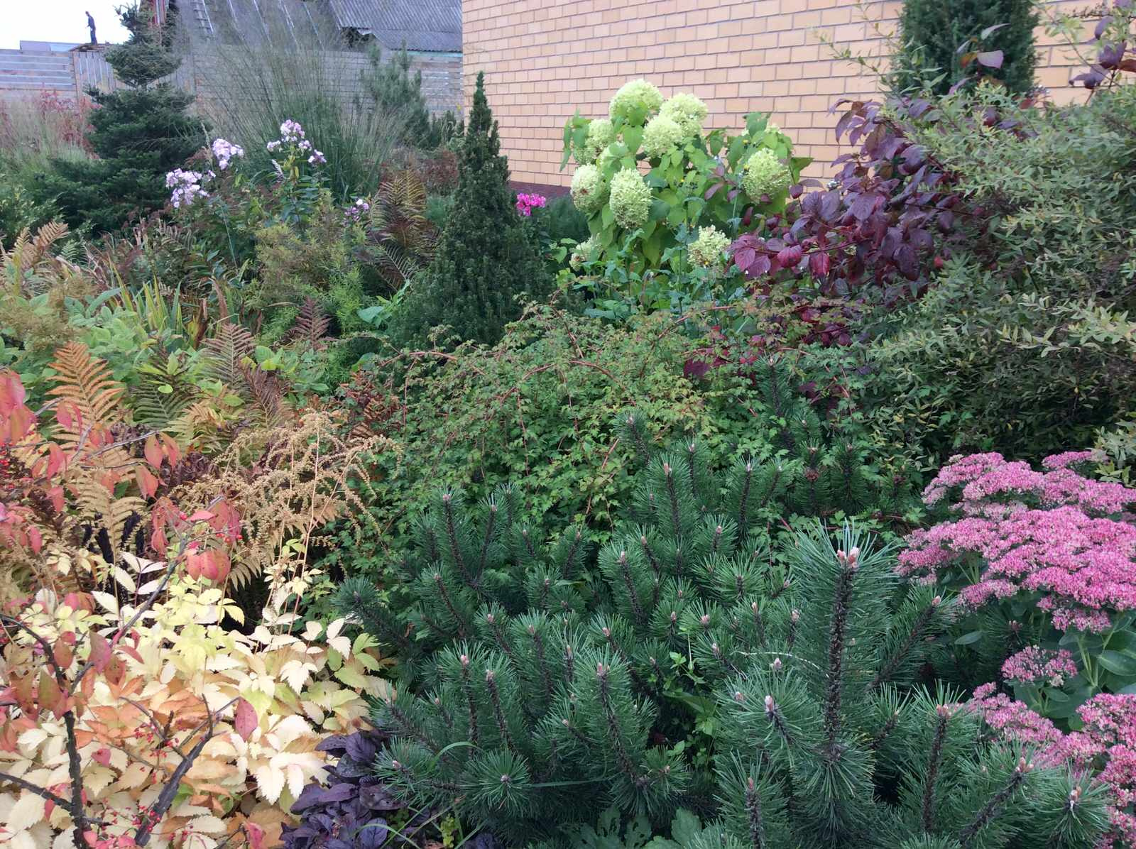 ТЕПЛЫШКО МОЕ РАСПУШЕННОЕ.